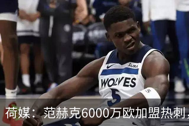 荷媒：范赫克6000万欧加盟热刺，用转会分成帮母队布雷达打破纪录